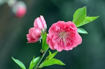 西安交通大學(xué)威海校友會(huì)到訪中都，參觀交流