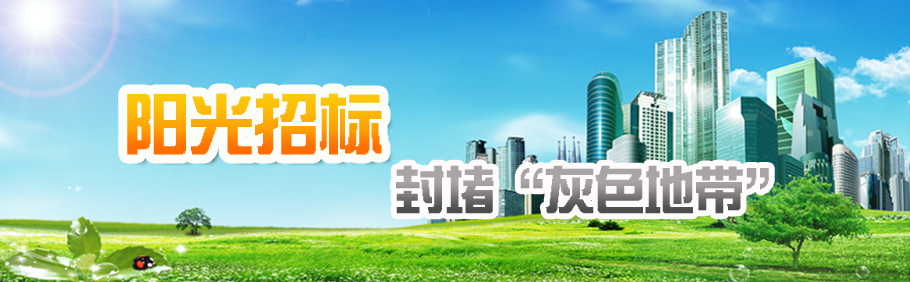 集團公司采購領(lǐng)導小組召開2017年第一次會議